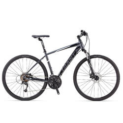Giant Roam 2
